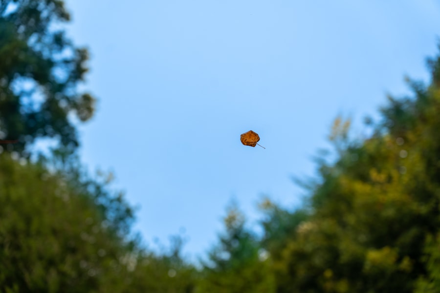 Photo gravity