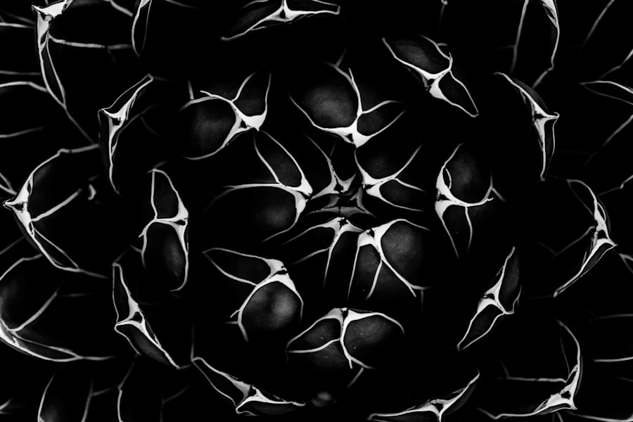universe, brain