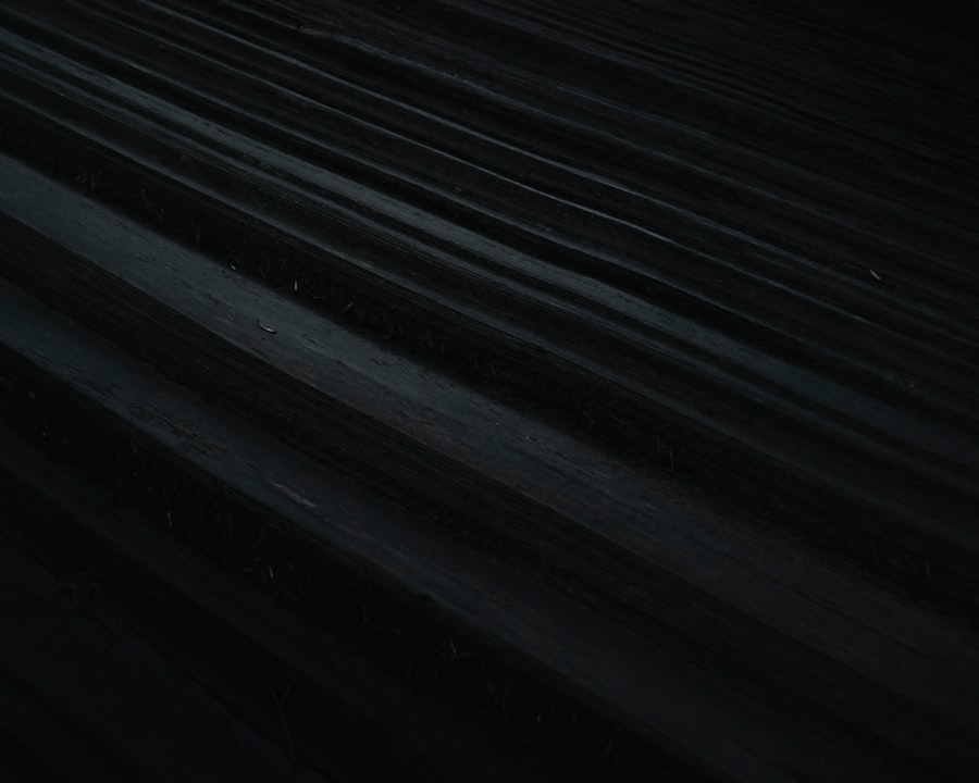 black hole horizons