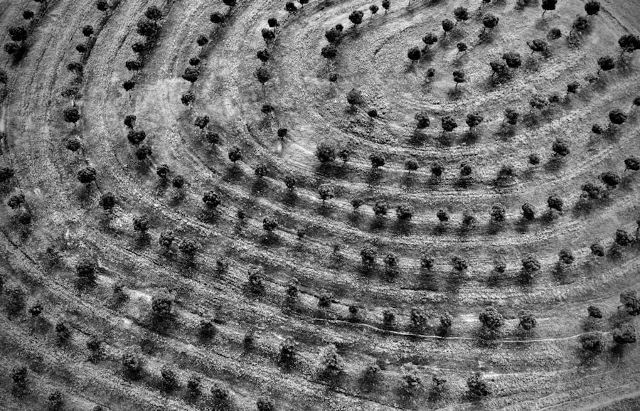 fields create particles vacuum