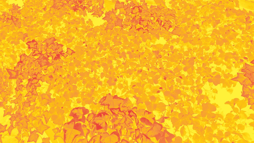 Photo solar flare impact