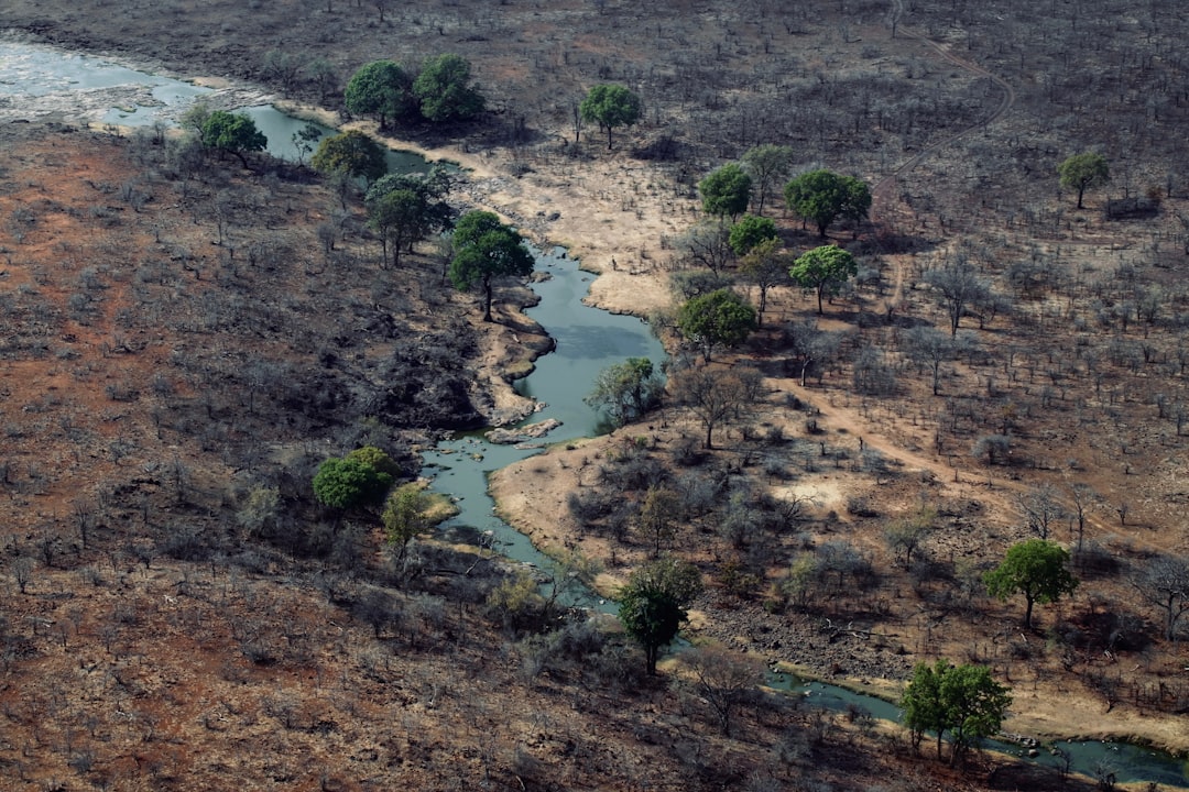 Photo ecological consequence