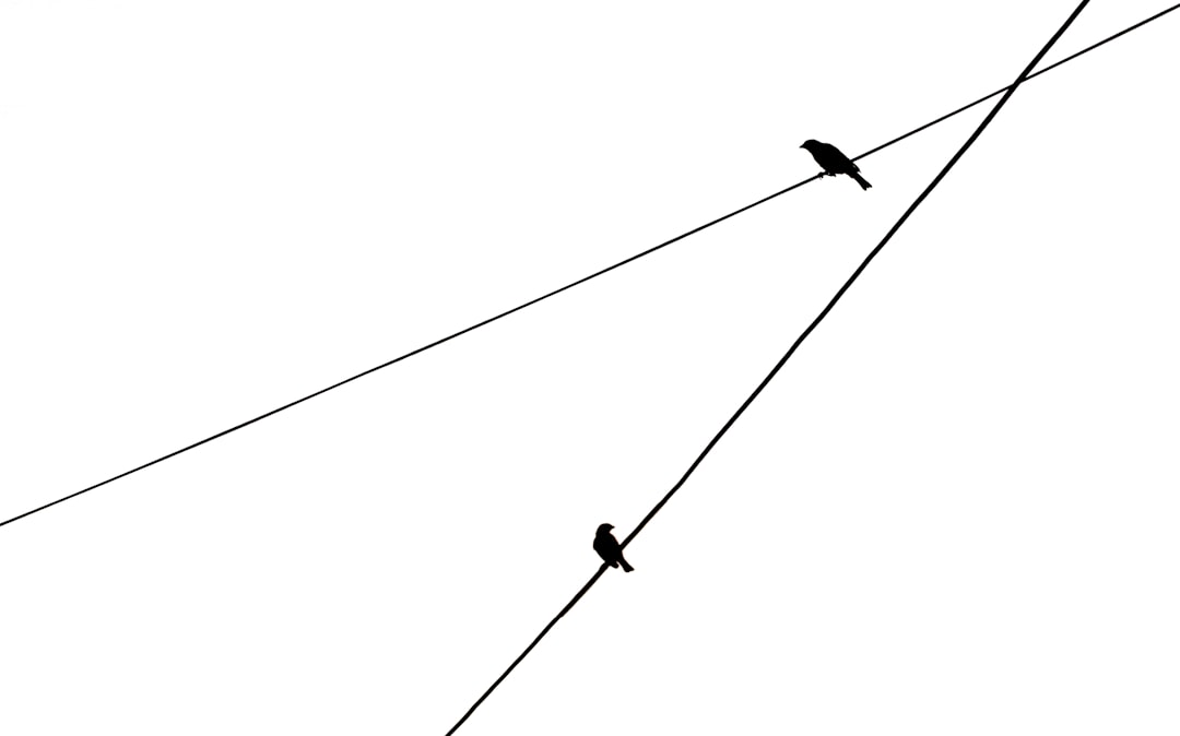 Photo rim alignment