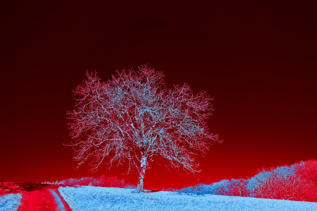 Photo infrared ghost