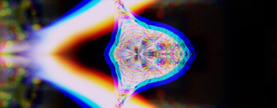 Photo holographic universe principle