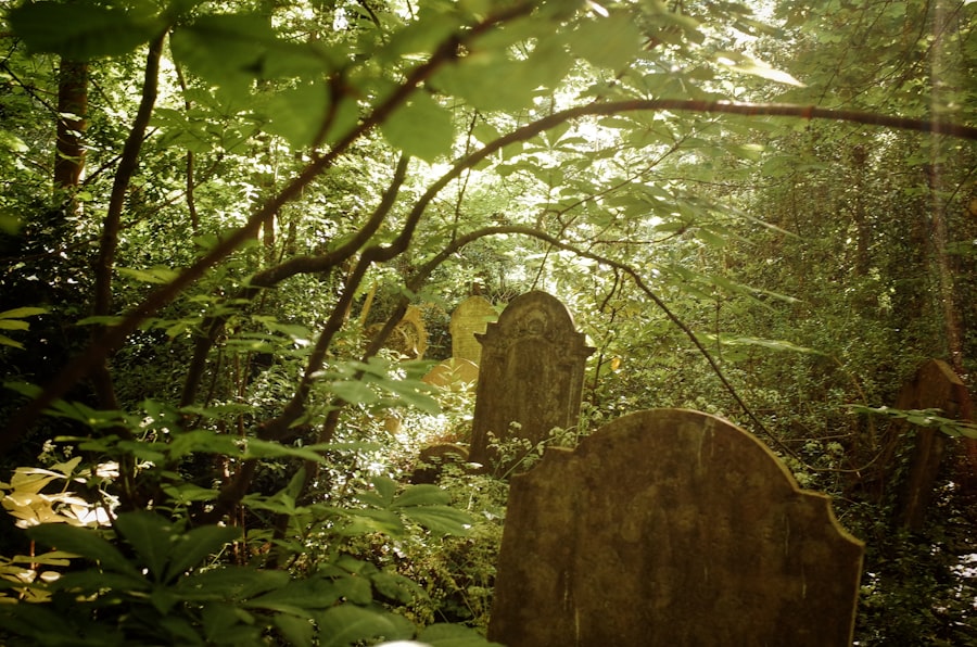 Photo survives after death