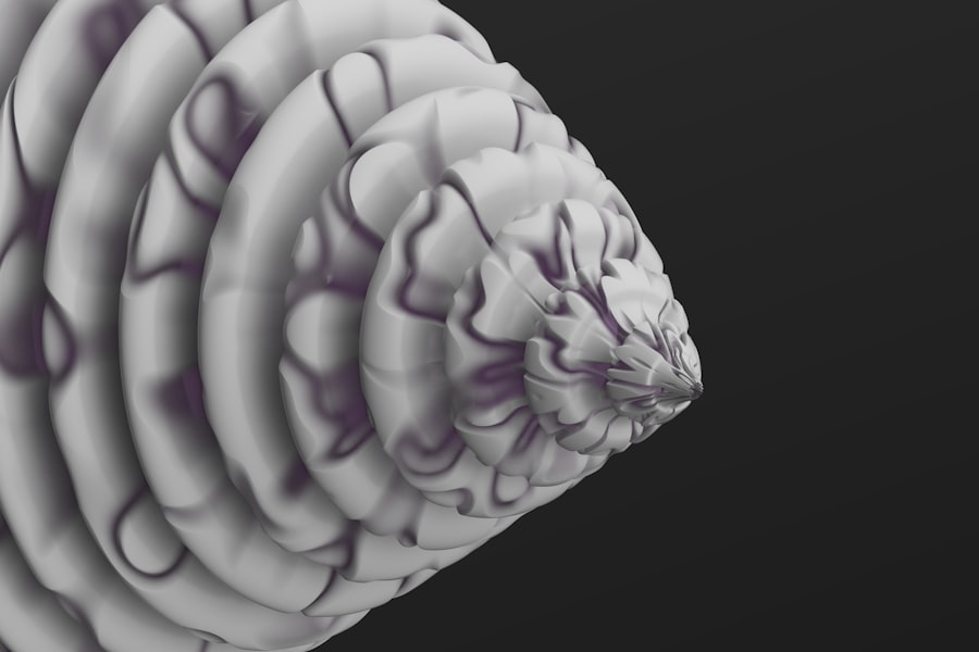 Photo universe, brain