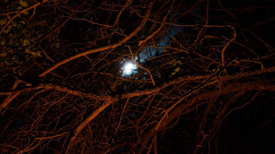 Photo entropy