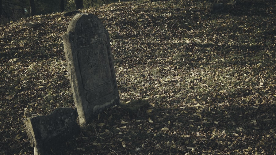 Photo survives after death