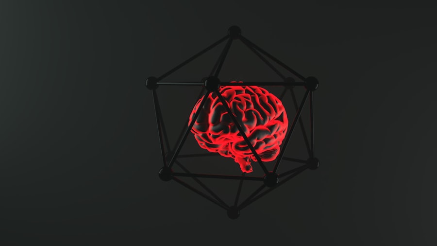 Photo universe, brain