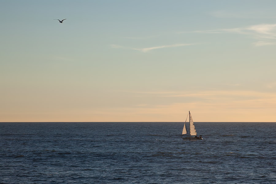 Photo horizons