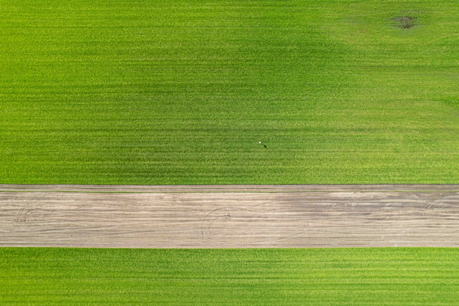 large scale structure