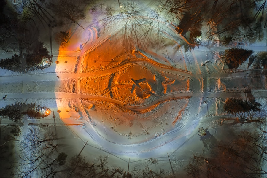 panpsychism quantum consciousness research