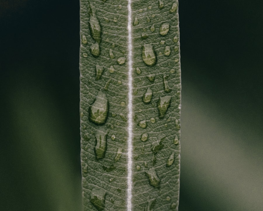 biohybrids