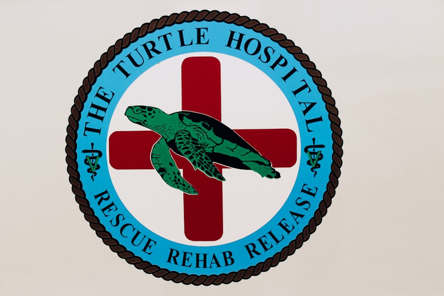 hospice care