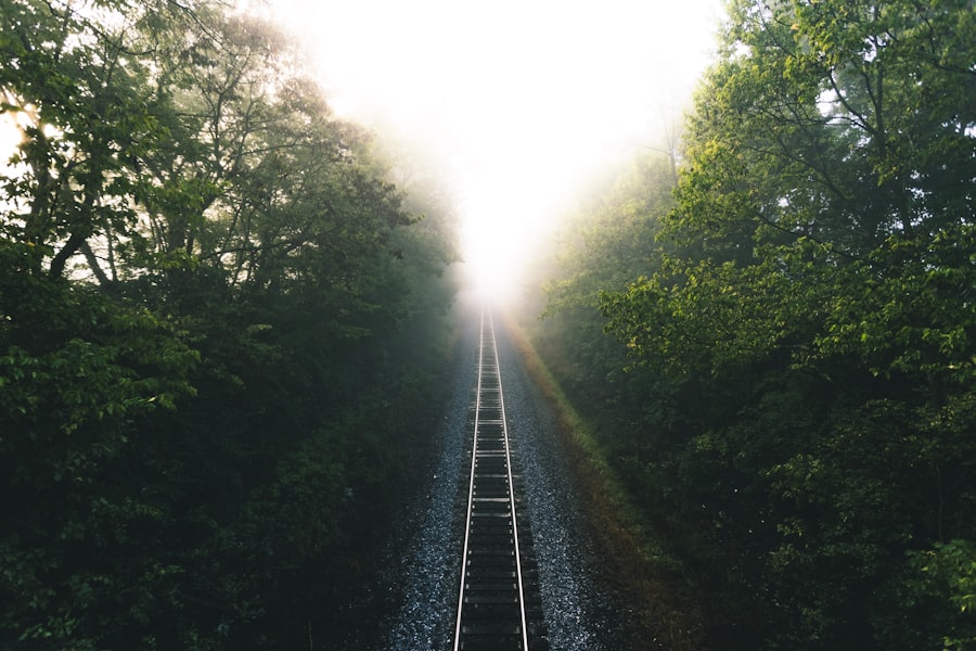 Exploring the Depths of the Mind