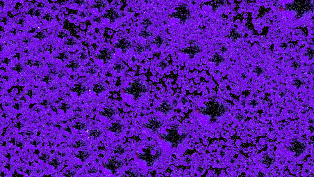 Photo filtering