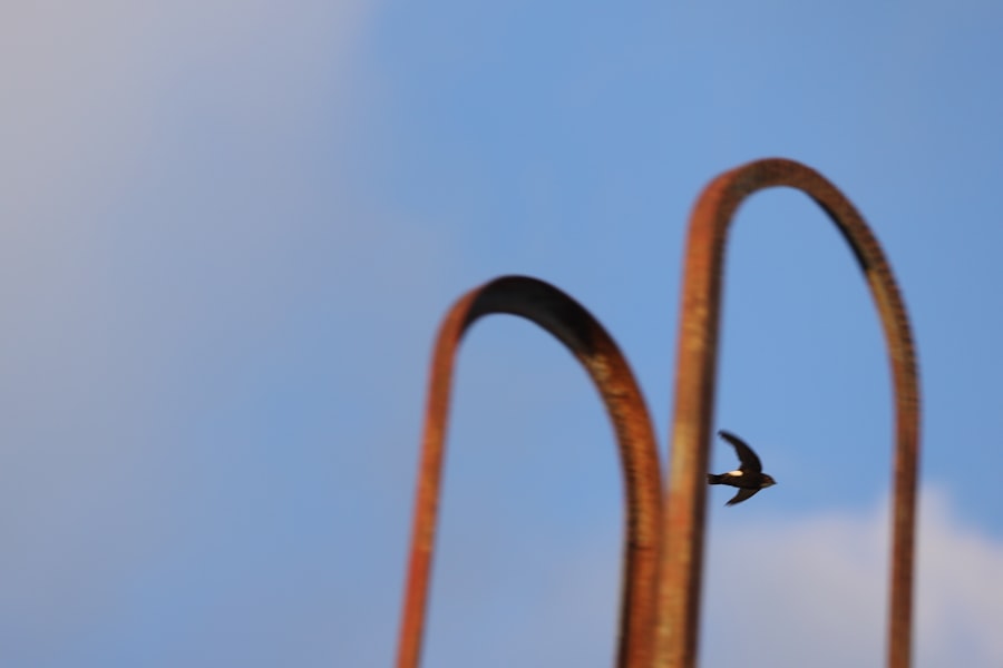 Photo dipole repeller