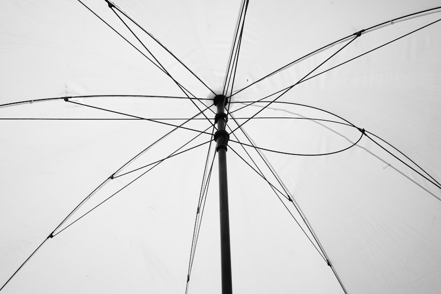Photo scale-free networks