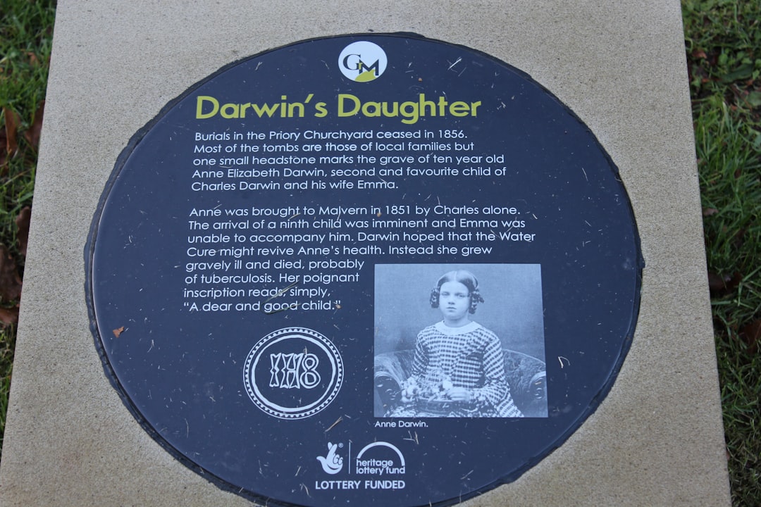 Photo quantum darwinism