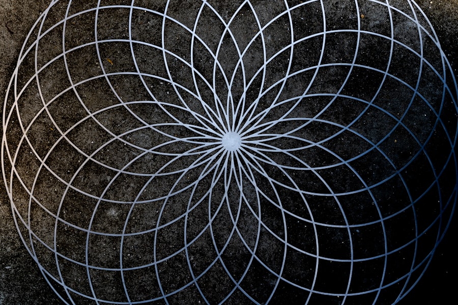 Photo panpsychism quantum consciousness research