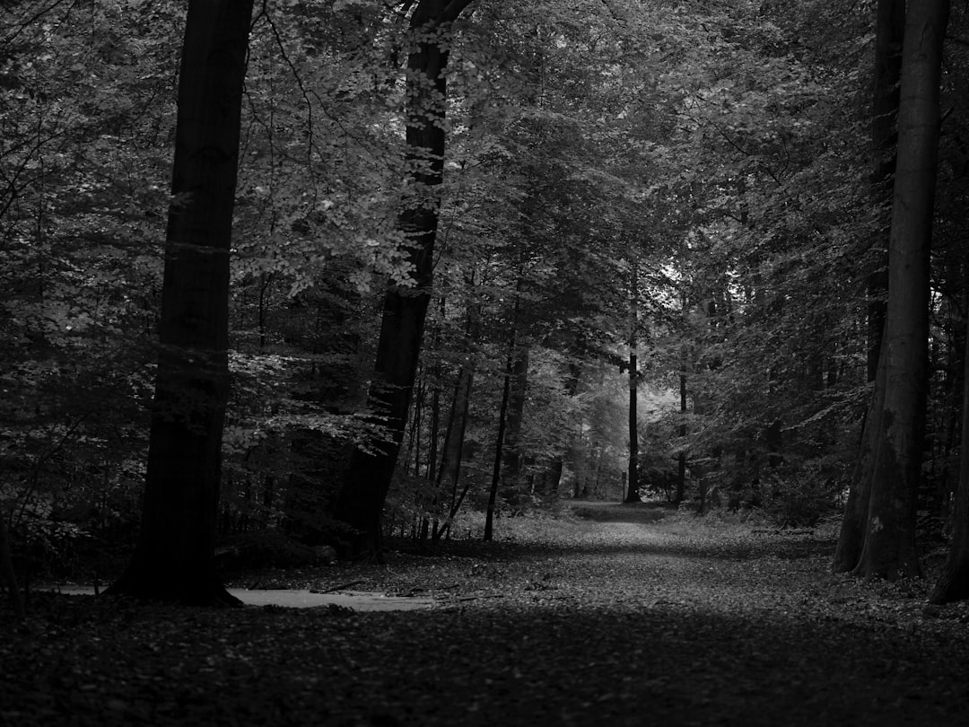 Photo Exploring the Depths of the Mind