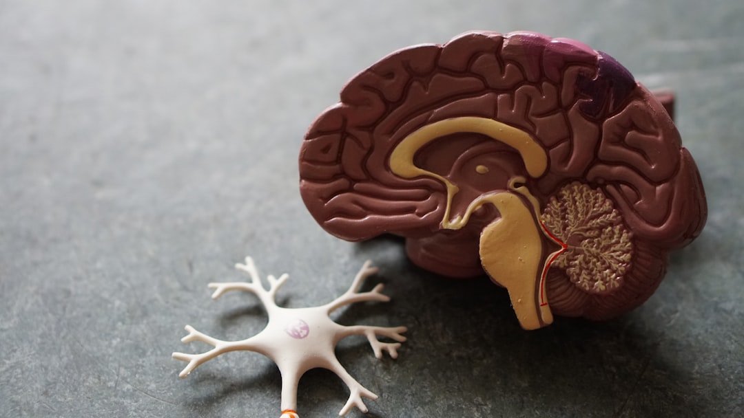 Photo Brain