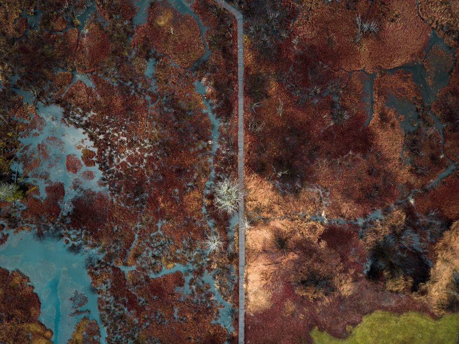 Photo dust maps