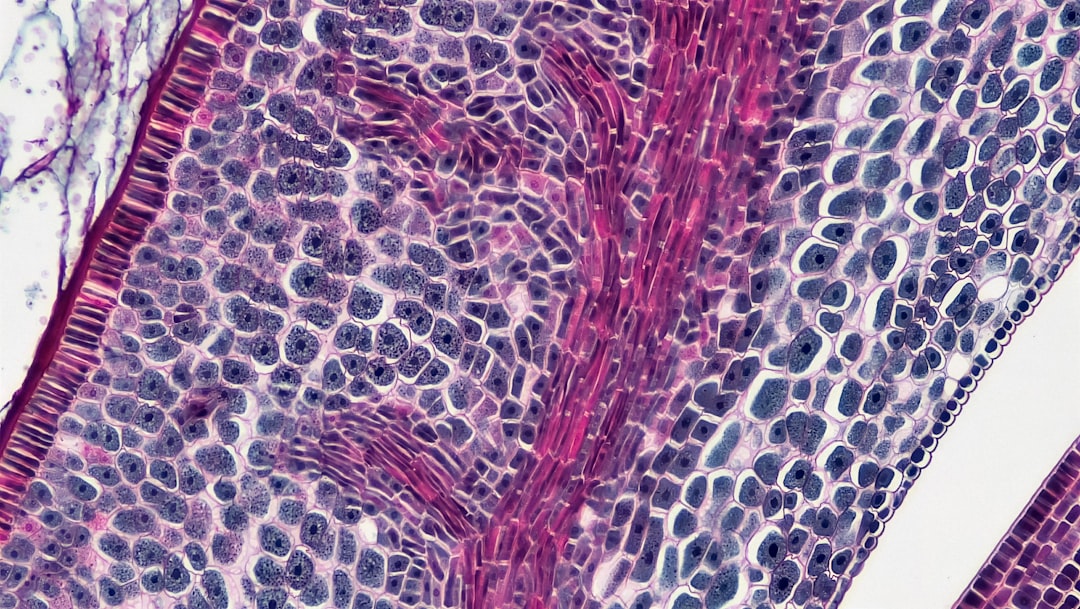 Photo tissue regeneration