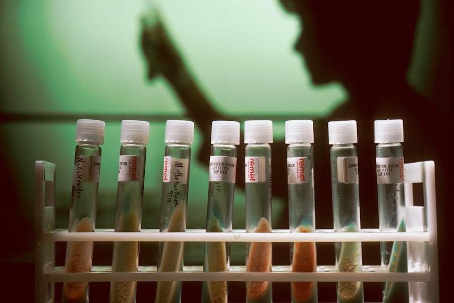 biological and post biological life