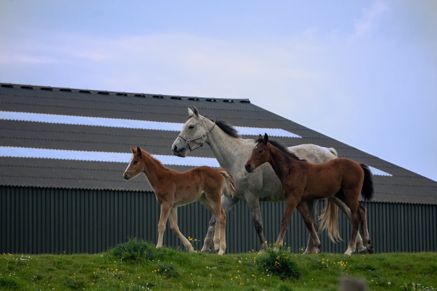 stable world