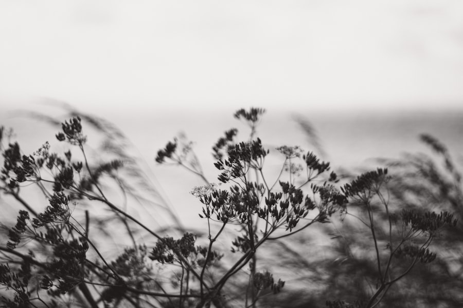 silence