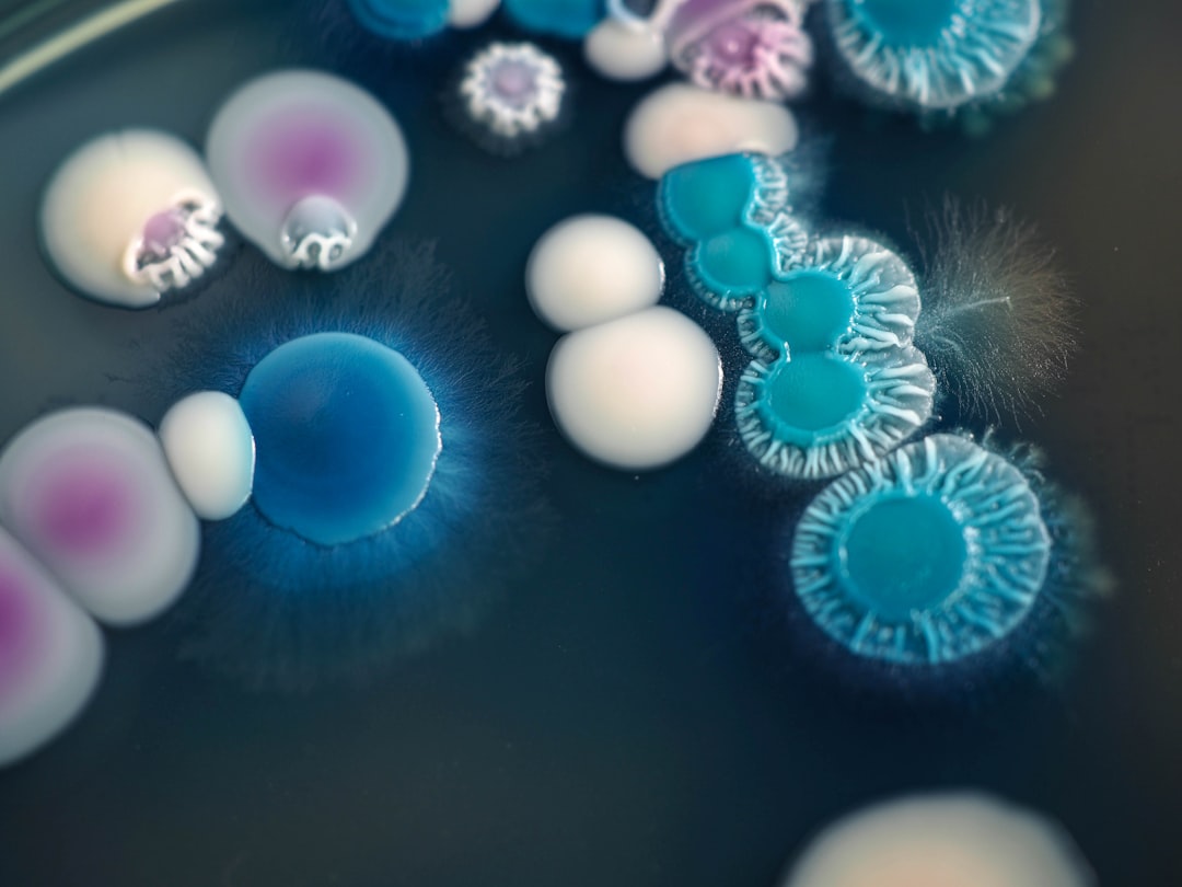 Photo biological and post biological life