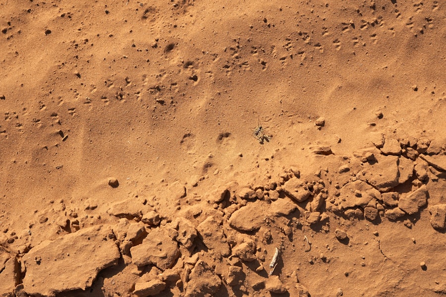 mars life detection standards