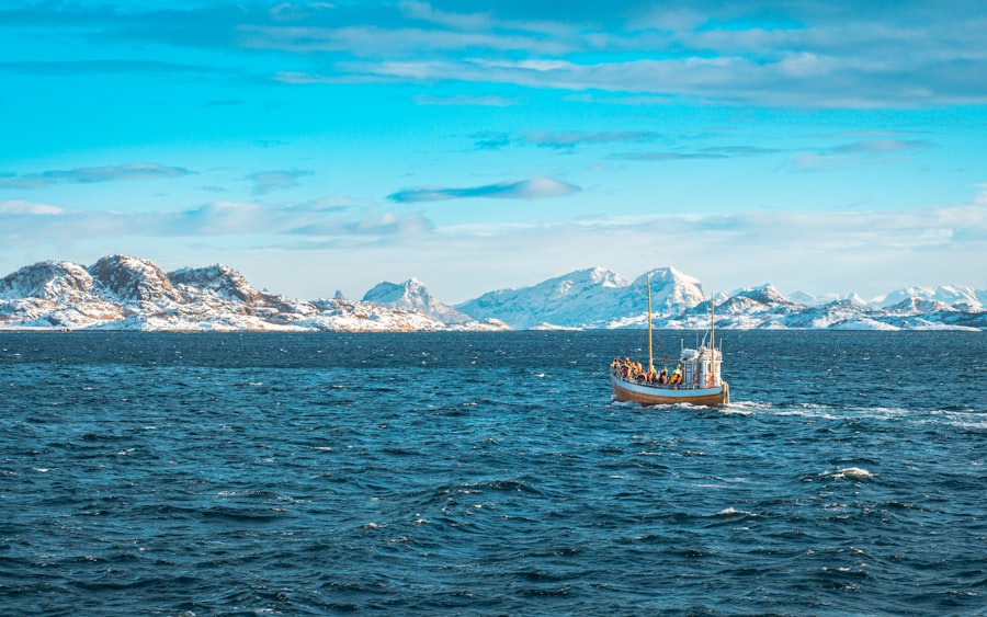 viking mission