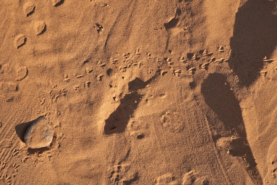 mars life evidence