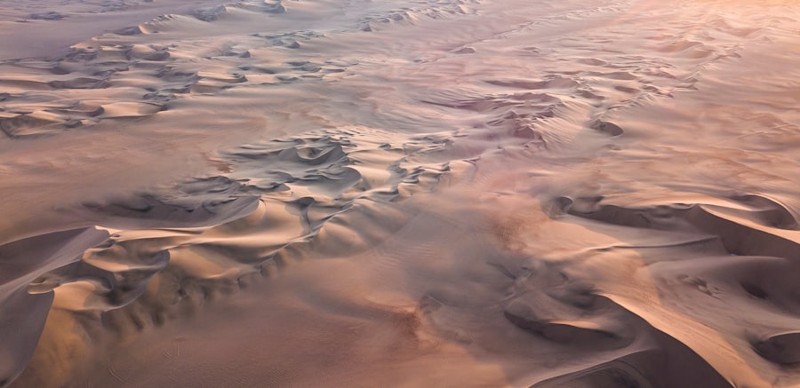 mars life detection experiments