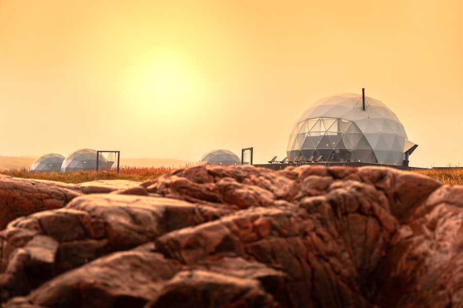 Photo life on mars