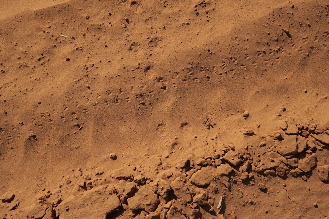Photo mars life evidence