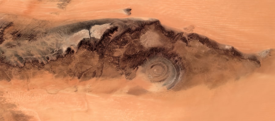 Photo mars life evidence