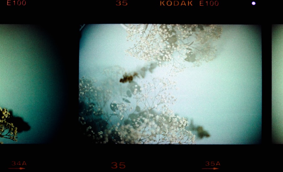 vacuum decay documentary