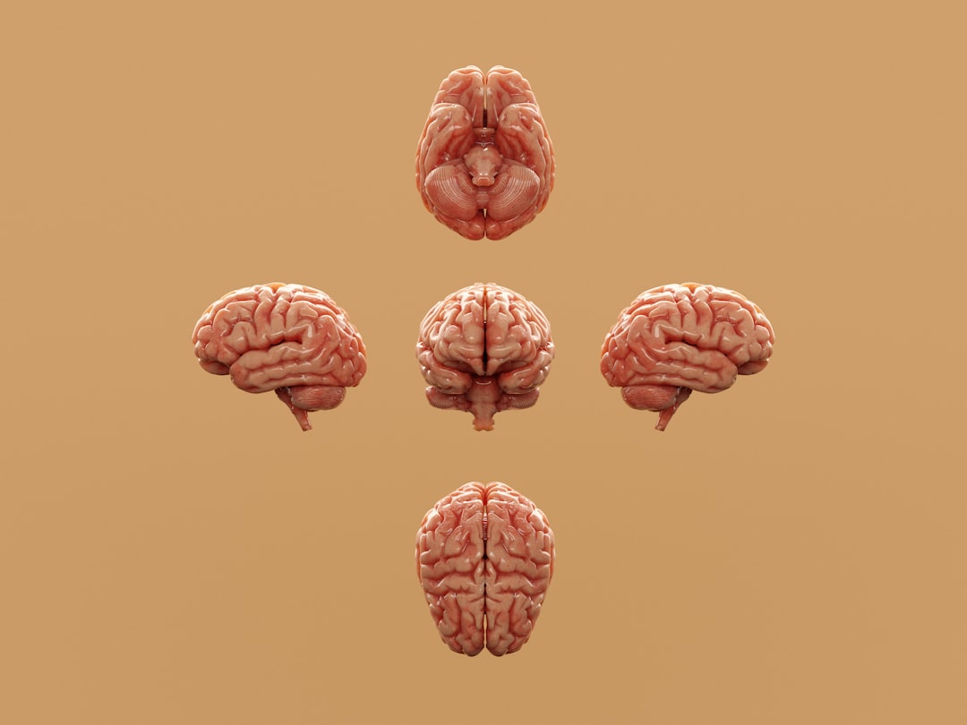Photo brain reality