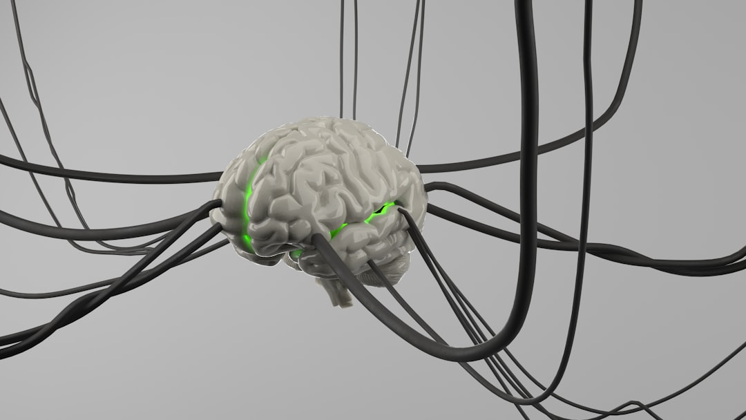 Photo brain model reality