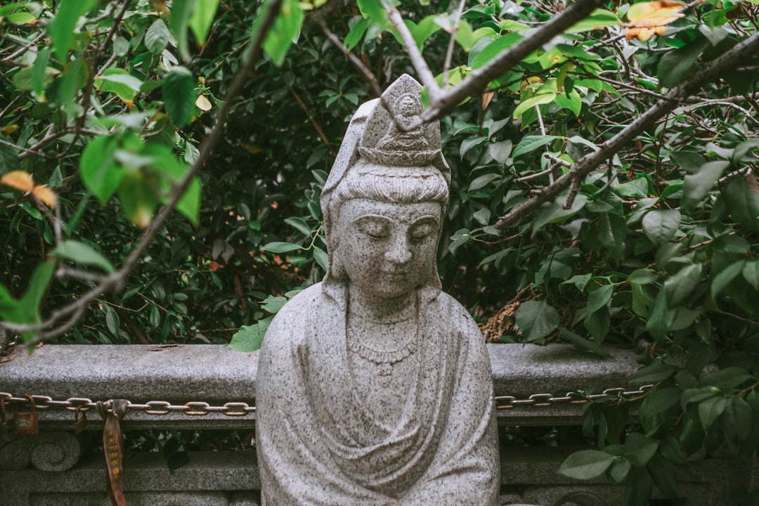 Photo philosophy of mind