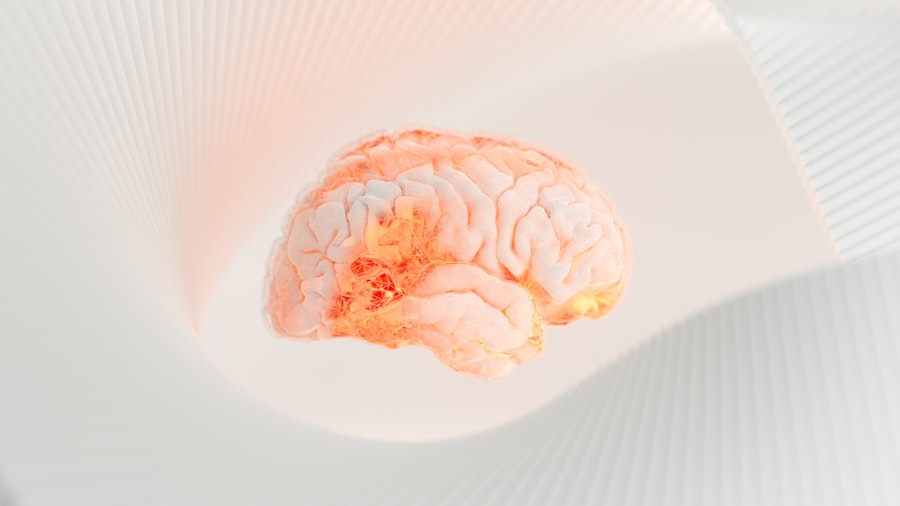 Photo brain and free will