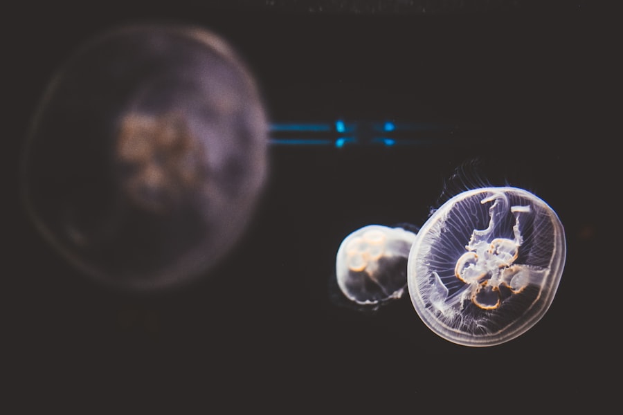 science documentary