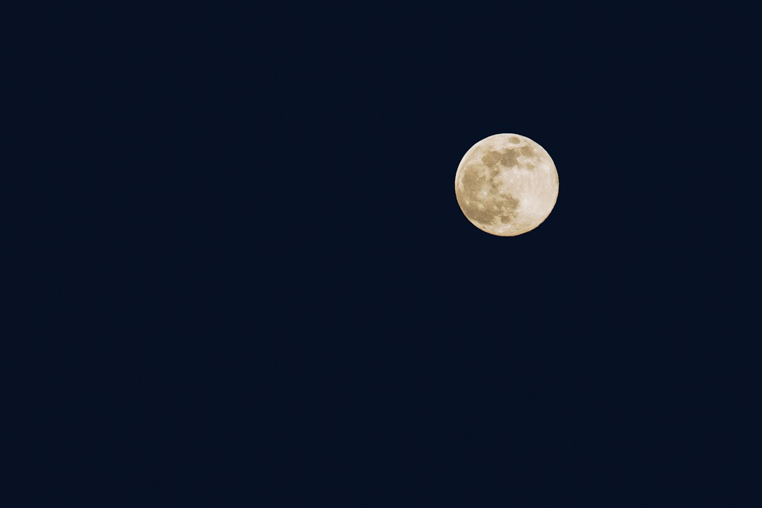 Photo howling