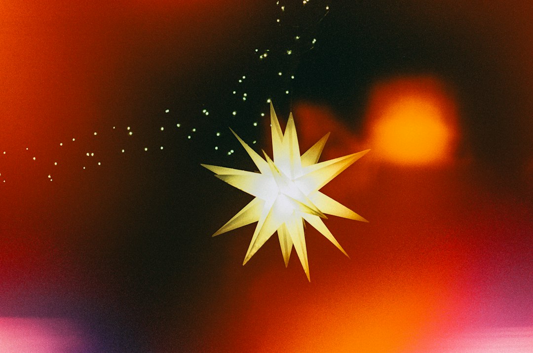 Photo Stardust reentry