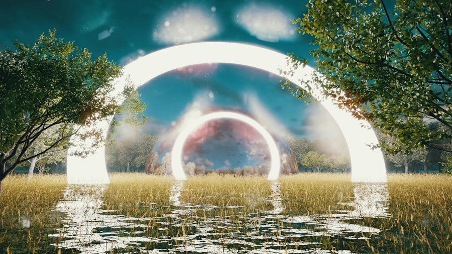 Photo Stardust atmospheric entry