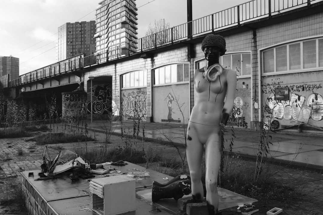 Photo life on Venus